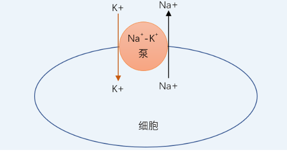 QQ截图20200610161333.png